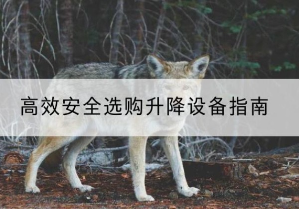 宜兴升降货梯厂家推荐-*安全选购升降设备指南