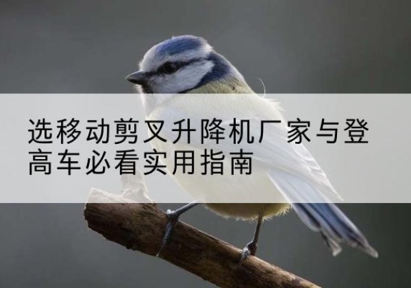 宜兴电动升降机厂家-选移动剪叉升降机厂家与登高车必看实用指南