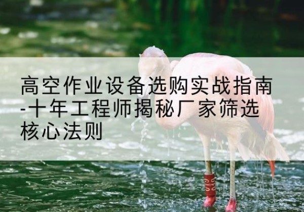 宜兴剪叉式升降机厂家-高空作业设备选购实战指南-十年工程师揭秘厂家筛选核心法则